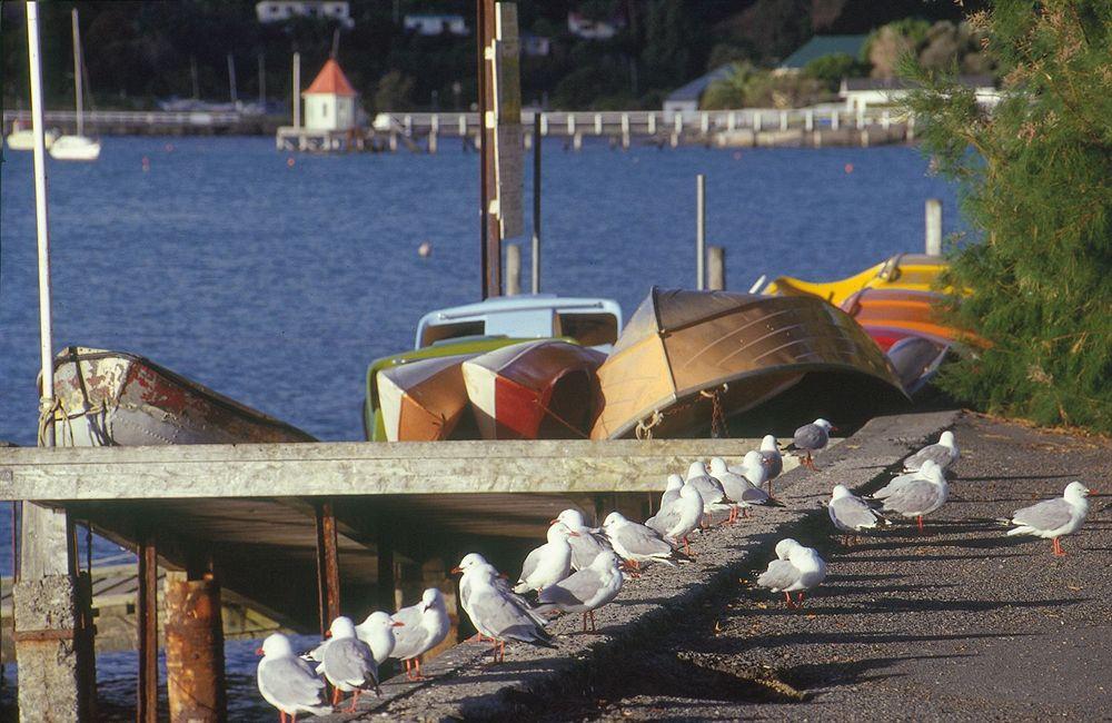 Akaroa Criterion Motel Εξωτερικό φωτογραφία